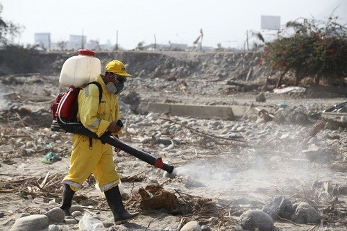 MML fumiga zonas afectadas por lluvia y huaicos para evitar propagación de enfermedades