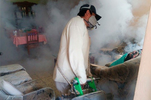 Minsa continúa la fumigación de viviendas en Coishco, para disminuir presencia del zancudo que transmite dengue