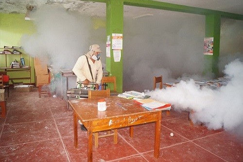 Minsa: Más de 450 colegios de Tumbes fueron fumigados contra el dengue