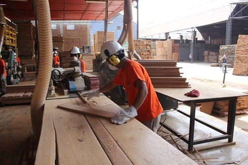 Adex plantea usar madera en la reconstrucción del norte del país