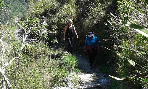 Se reapertura ruta 005 de la Red de Caminos Inka del Santuario Histórico de Machupicchu