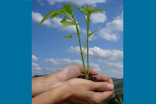 Herbalife, una empresa comprometida con el Cuidado del Medio Ambiente por un desarrollo sostenible