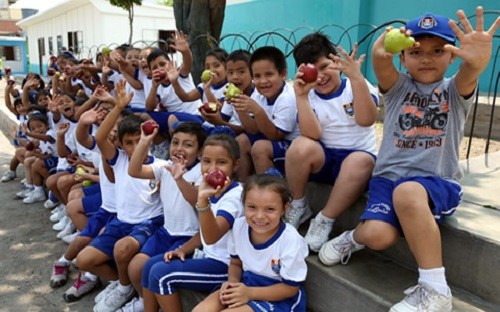 Lonchera y menú diario de escolares deben contener alimentos constructores, energéticos y protectores