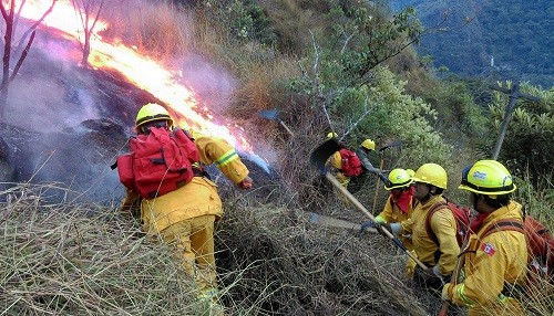 Guardaparques bomberos controlan incendio forestal en Santuario Histórico de Machupicchu
