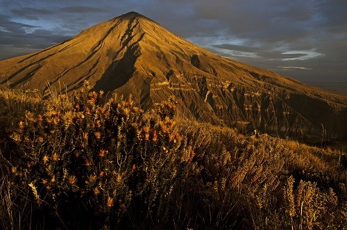 Arequipa: Conozca a la Reserva Nacional Salinas y Aguada Blanca que cumple 38 años beneficiando a peruanos