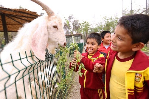 MML celebra Día del Niño a lo grande en los Parques y Clubes Zonales