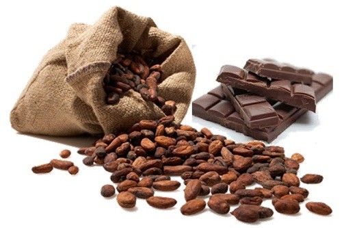Descubre el valor del cacao en la Feria de Chocolate en MegaPlaza