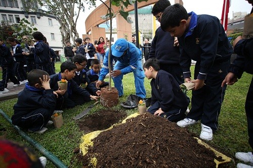 Día del árbol: más de doscientos árboles se sembraron en Miraflores