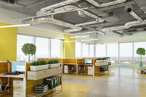 Oficina verde: ¿Qué tan ecoamigable puede ser un espacio de trabajo?
