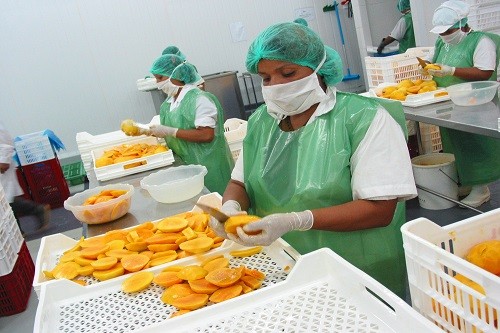 Crecen exportaciones de alimentos peruanos a Corea del Sur