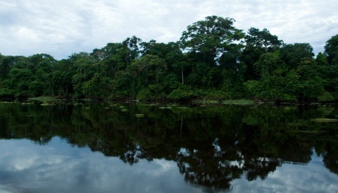 Reserva Nacional Pacaya Samiria, 40 años comprometiendo a la población con la conservación