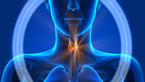 Cáncer de Tiroides, una enfermedad con pronóstico alentador