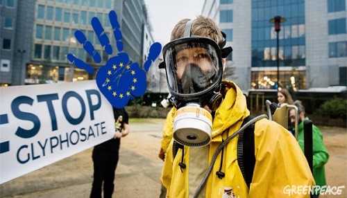La UE ignora las preocupaciones sobre el glifosato y renovará su autorización por cinco años más