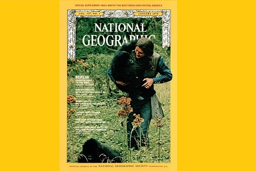 NatGeo estrena la miniserie: 'Dian Fossey: muerte en la niebla', con testimonios personales de Fossey