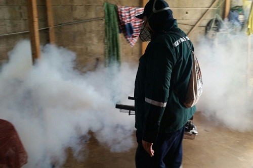 MINSA ejecuta acciones de prevención  y control del  dengue en ocho regiones del país