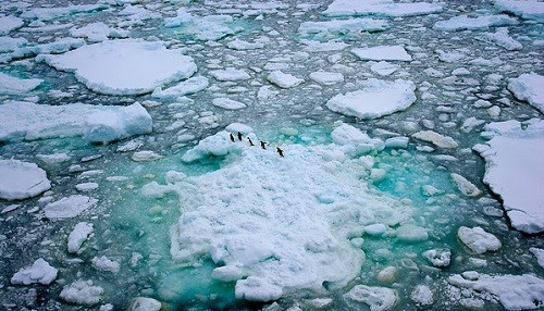 Greenpeace comienza una expedición histórica para reclamar la creación de la mayor área protegida del mundo: el Santuario Antártico