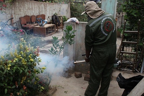 Piura: Realizan fumigación y control larvario contra el dengue en más de 8 mil viviendas