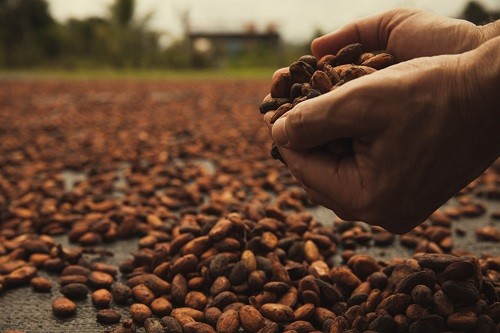 Oferta agroindustrial ingresó a 99 mercados en enero