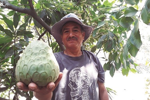 Proyecto de Cáritas y Enel mejora la productividad agrícola de más de 200 familias de Callahuanca