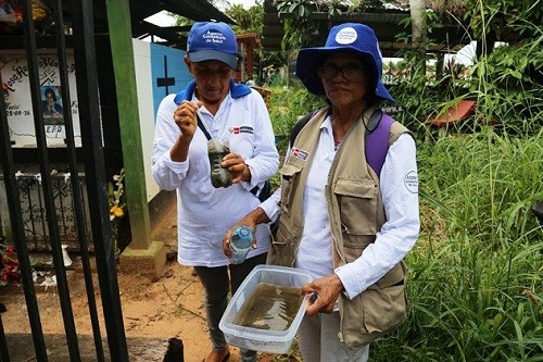 Acciones preventivas permiten disminuir la aparición de nuevos casos de zika y dengue en Piura