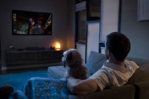 NETFLIX & GUAU: Maratonear es mejor con perros (y gatos)