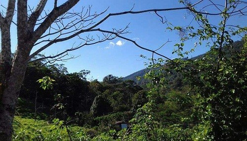 San Martín cuenta con octava Área de Conservación Privada: ACP Las Naranjas