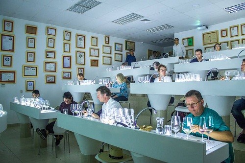 Reconocidos especialistas internacionales del vino visitaron Viña Tacama