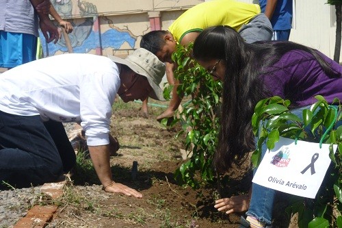 En el Día De La Tierra plantaron árboles en memoria de Olivia Arévalo