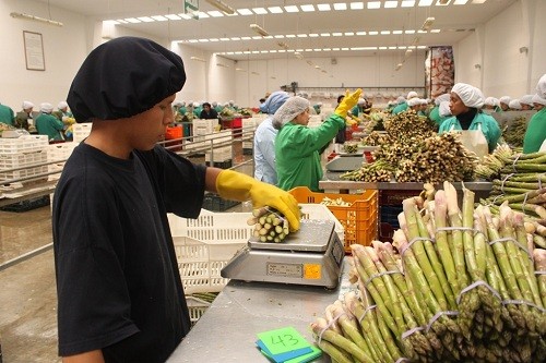 Zona Nor Oriental del Perú podría exportar alimentos por casi US$ 7 mil millones en 5 años