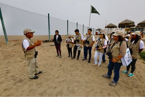 Pantanos de Villa: Municipalidad de Lima promueve conocimiento y cuidado de aves