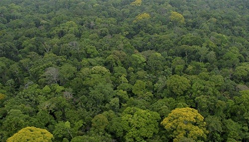 MINAM dicta medidas para conservar patrimonio natural