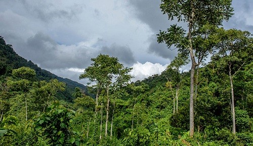 Ministerio del Ambiente reconoce dos nuevas áreas de conservación regional en la región Amazonas