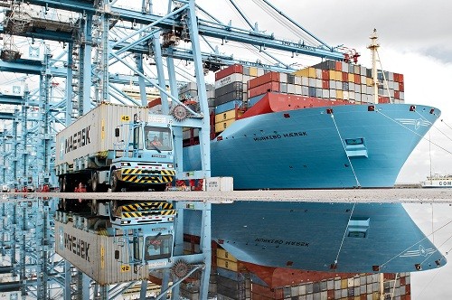 Maersk Line optimiza la exportación de paltas en Perú a través de nuevas tecnologías