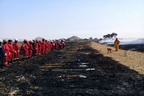 SERNANP conforma brigadas contra incendios forestales en La Libertad