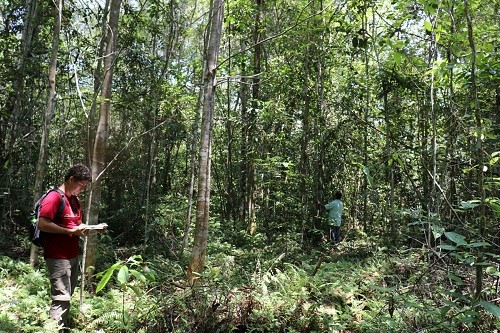 Loreto fortalece conservación de bosques de varillal con nueva Área de Conservación Privada reconocida por 50 años