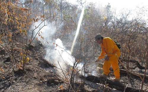 Rápida acción de guardaparques bomberos forestales controló incendio en Reserva Nacional de Tumbes