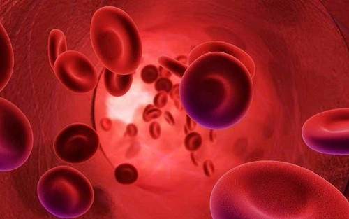 Perú: 21% de las Mujeres en Edad Reproductiva Padece de Anemia