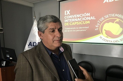 Lambayeque se consolida como región líder en producción de capsicum