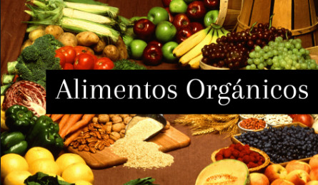 La alimentación orgánica reduce sensiblemente los riesgos de contraer cáncer