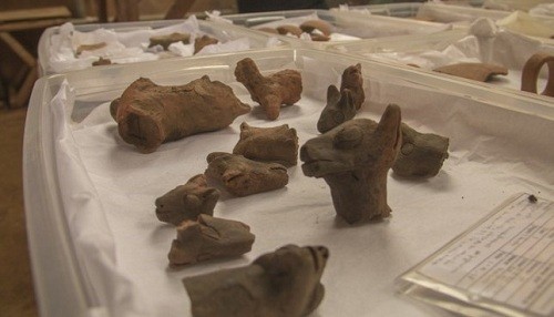 Hallan más de 40 representaciones de camélidos en cerámica en Zona Arqueológica Monumental de Wiraqochapampa