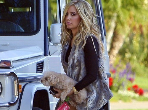 Ashley Tisdale de paseo con su perro Maui