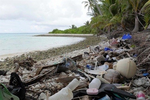 Islas australianas albergan 414 millones de piezas de contaminación plástica