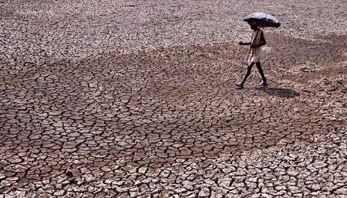 Una ola de calor abrasador ha matado a 36 personas en India en los últimos 30 días