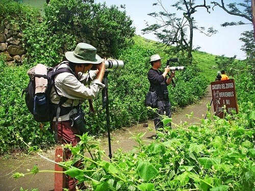 Sernanp: Empezó la temporada de lomas en la Reserva Nacional de Lachay