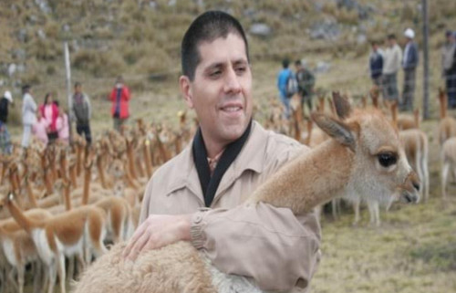 En el Día del Campesino: Reflexiones sobre la vicuña