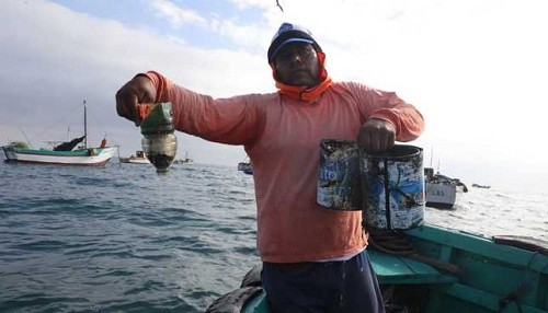 Se retiró más de una tonelada de residuos sólidos del fondo marino en Tumbes