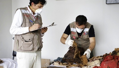 Ministerio de Cultura recuperó 257 textiles de origen prehispánico durante operativo en Pucusana