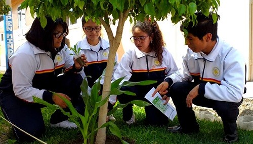 Estudiantes de COAR diseñan proyecto de riego agrícola alimentado con energía solar