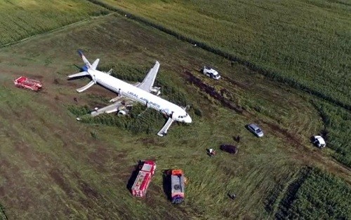 Rusia: un avión aterriza de emergencia en un campo de maíz