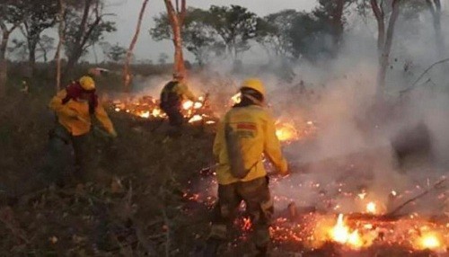 Bolivia y Brasil combaten intensos incendios forestales que hasta ahora han quemado 500,000 hectáreas